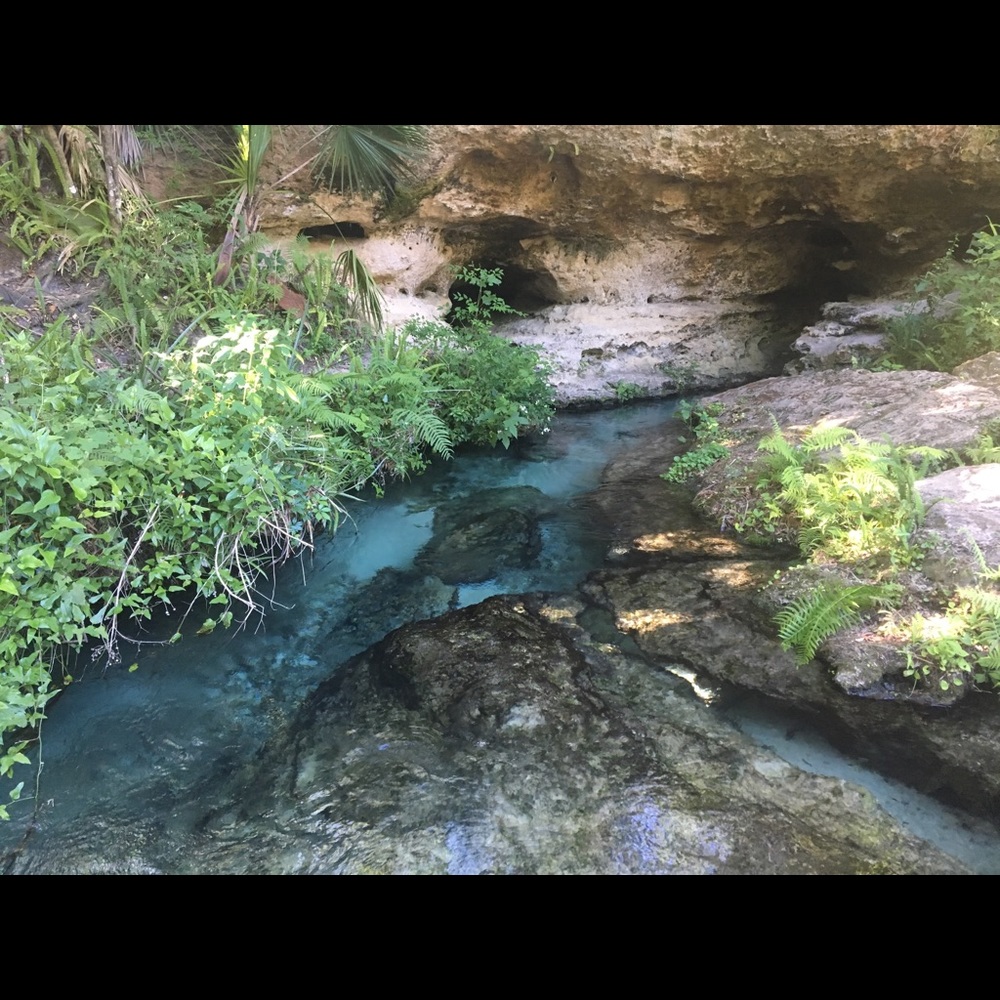 Meet your Posher, Adrienn